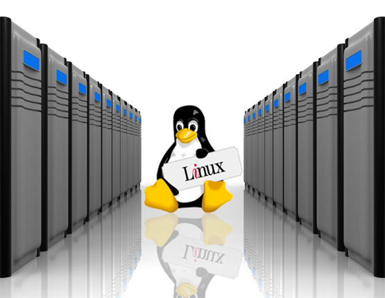 Dedicated-Linux-Server